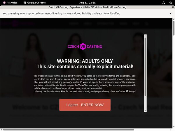 Access Czechvrcasting.com Free