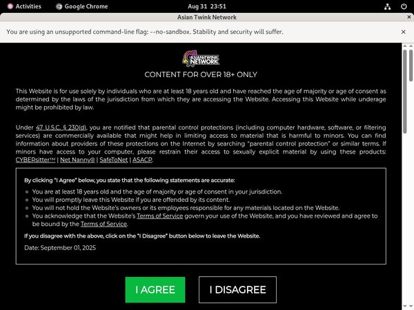 Asiaboyvideo.com Checkout Page