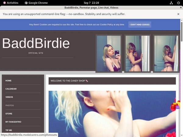 BaddBirdie Password Accounts