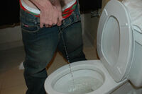 Boys-pissing.com Valid Password s0