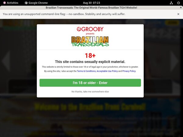 Brazilian Transsexuals Web Billing