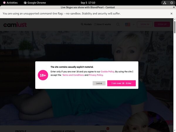 Camlust.com Free Accounts And Passwords