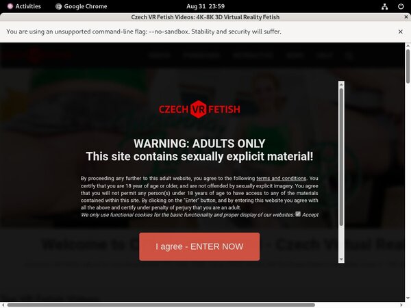 Czechvrfetish.com Preview