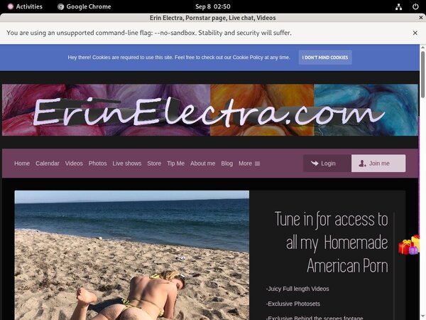 ErinElectra Pricing