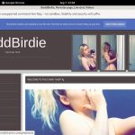 Fotos BaddBirdie