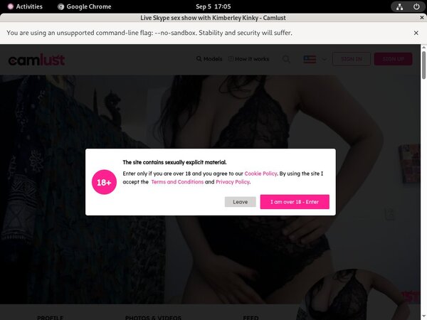 Free Camlust.com Account And Password