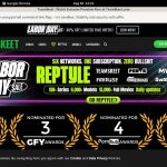 Free Team Skeet Codes