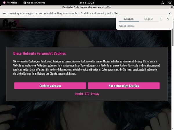 Free Working Lanagiselle.tv Account