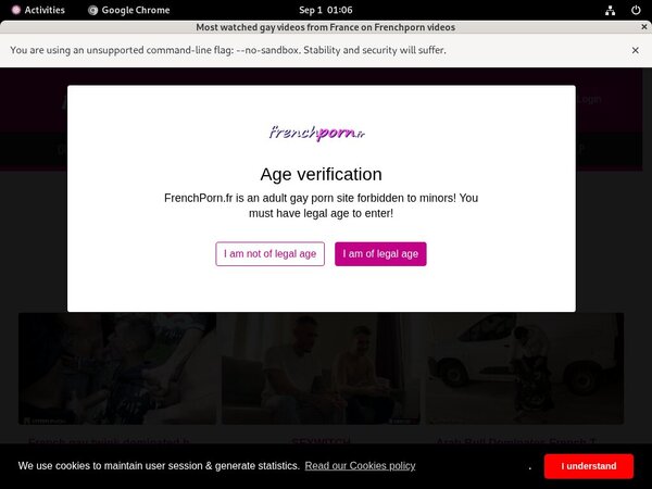 French Porn Gay Gratis