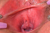 Gapemypussy.com Home s2