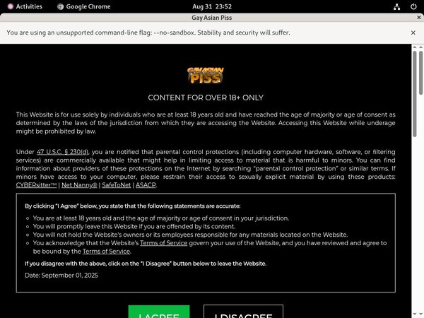 Gay Asian Piss Update