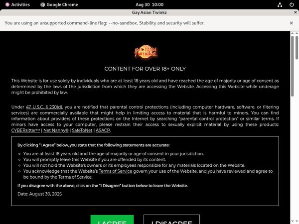 Gay Asian Twinkz Paysite Discounts