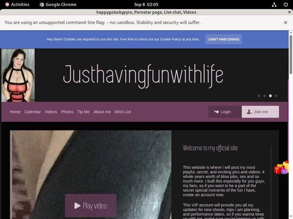 Happygoluckypyro Order