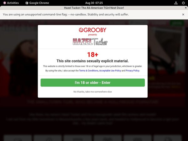 Hazeltucker Gxplugin (IBAN/BIC)