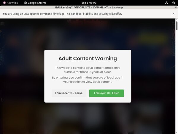 Hello Ladyboy Premium Logins