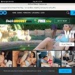 How Much Does Spizoo Cost