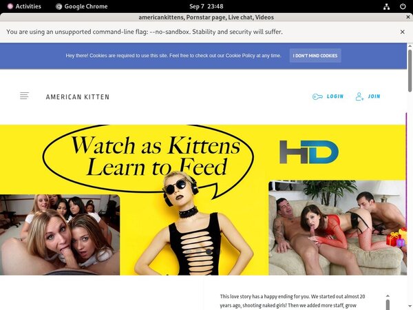 How To Access Americankittens