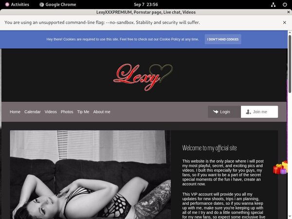 LexyXXXPREMIUM Stolen Password