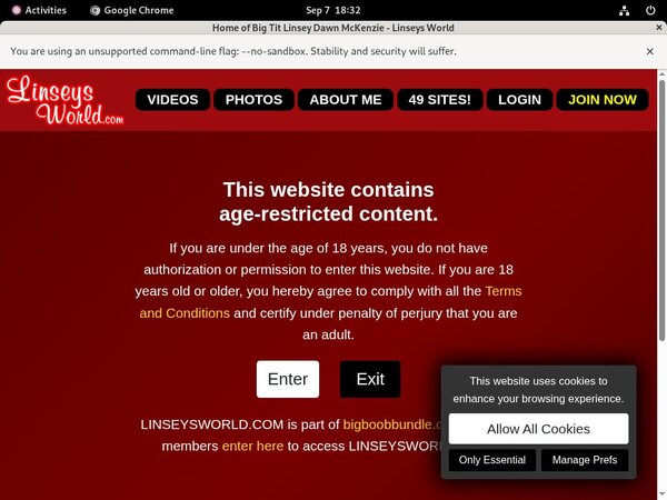 Linseysworld.com Discount Acc