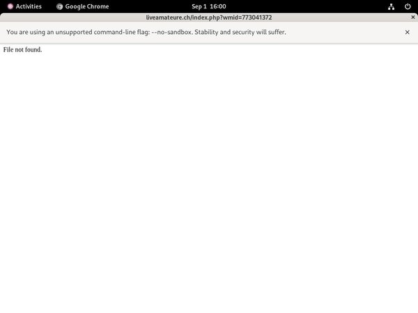 Live Amateure Login Generator