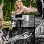 Login To Subspace Land For Free