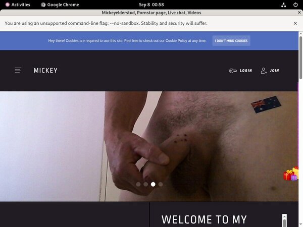 Mickeyelderstud.modelcentro.com With Pay Pal