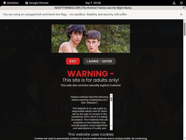 Nasty Twinks With Discover Card