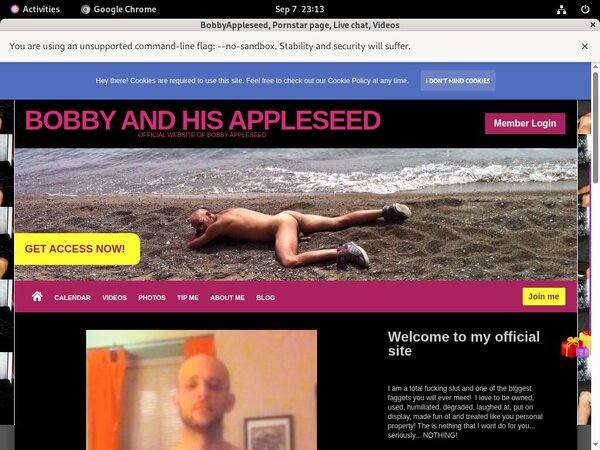 New Bobbyappleseed.modelcentro.com Promo Code