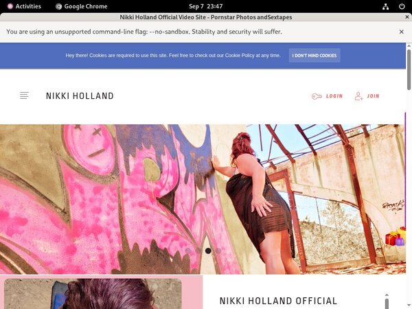 Nikkiholland.video Password Site