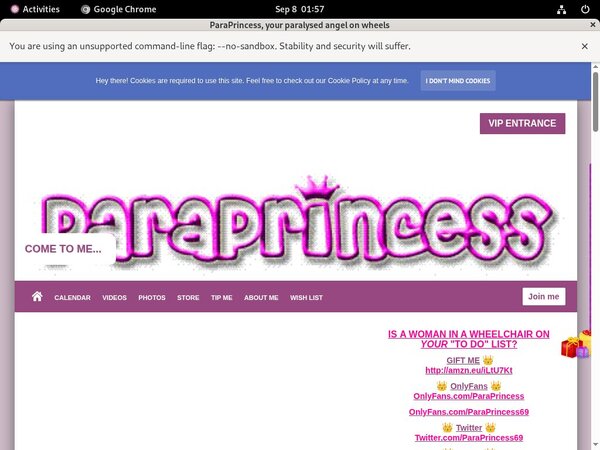 ParaPrincess Paypal Options