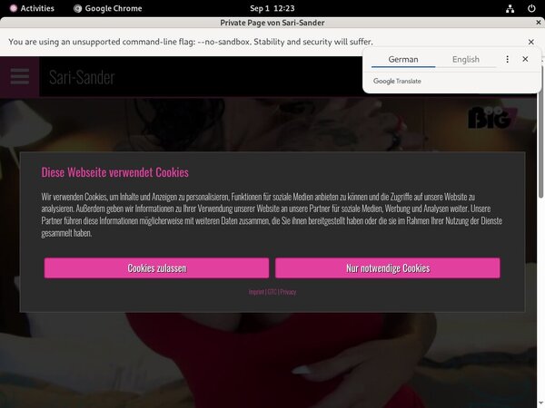 Sari Sander Passwords Blog