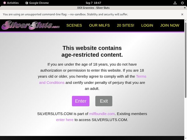 Silver Sluts Updated Passwords