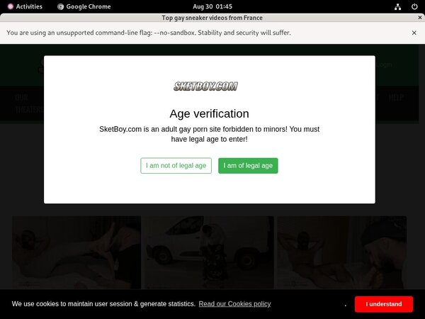 Sketboy.com Pass Login