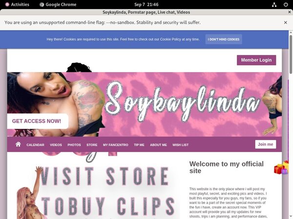 Soykaylinda.modelcentro.com Pay Site