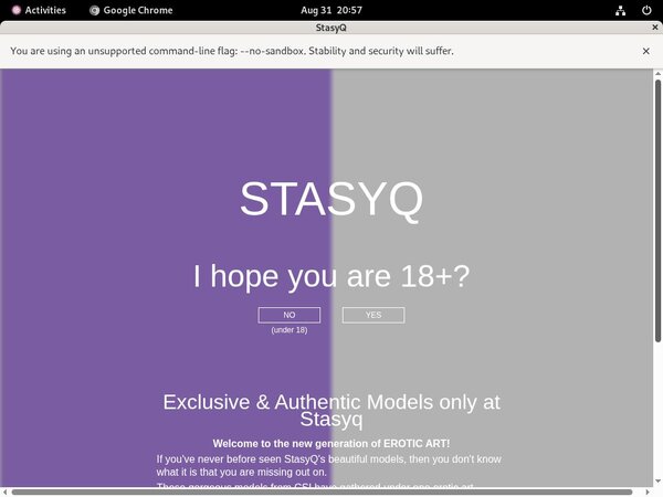 Stasyq.com Accounts Working