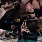 Subspaceland.com Renew Subscription