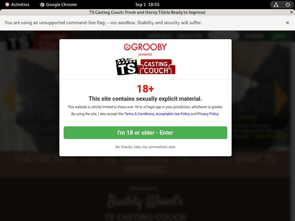 TS Casting Couch Trial Cost