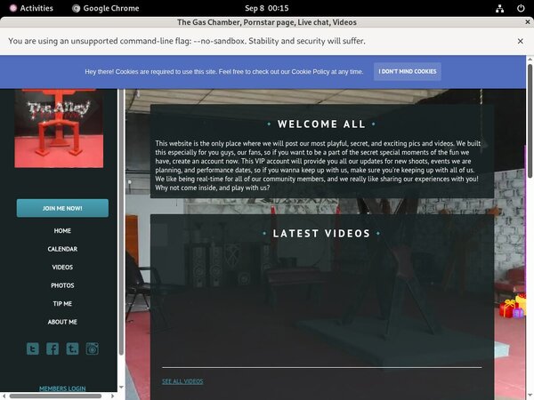 Thealleywynwood.modelcentro.com Site Rip Url