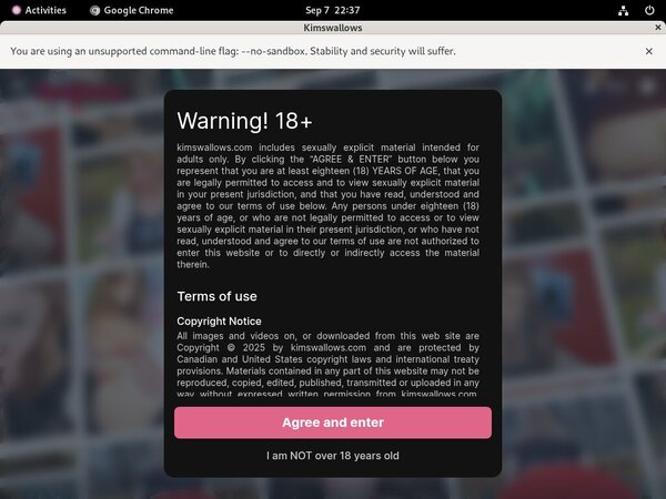 Using Paypal Kimswallows