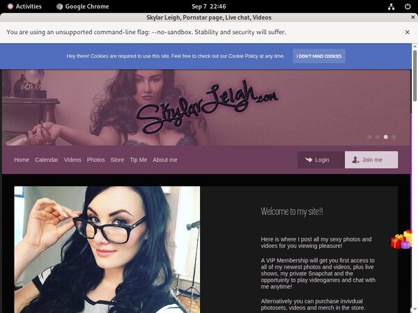 Using Paypal Skylar Leigh