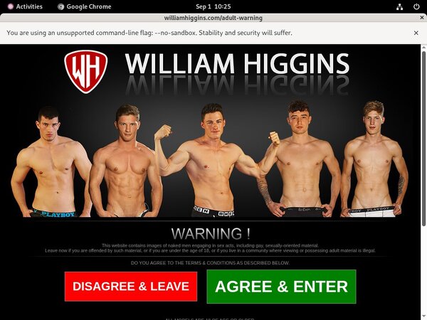 Williamhiggins.com Working Accounts