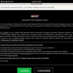 Workin Men XXX Pornstars