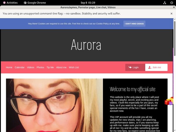 Working Aurorajaymes.modelcentro.com Login