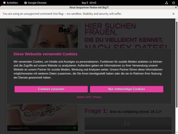 Yoursecretdream.com Gallaries