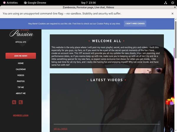 Zambooza.modelcentro.com Pregnant