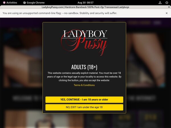 Ladyboy Pussy Discount Url