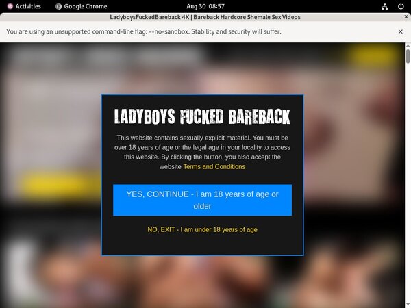 Ladyboys Fucked Bareback Hd Videos